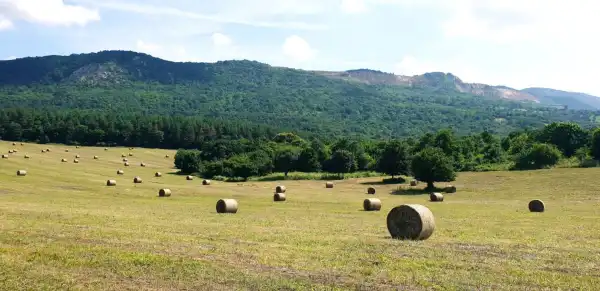 Eladó Szántó, Vác 144953 m² 450 M Ft