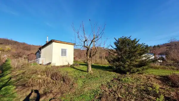 Eladó Szántó, Vác 6283 m² 29.9 M Ft