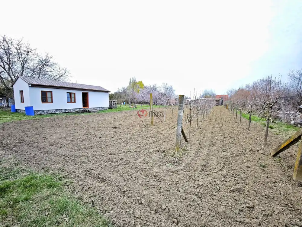 Csongrád megye - Szeged