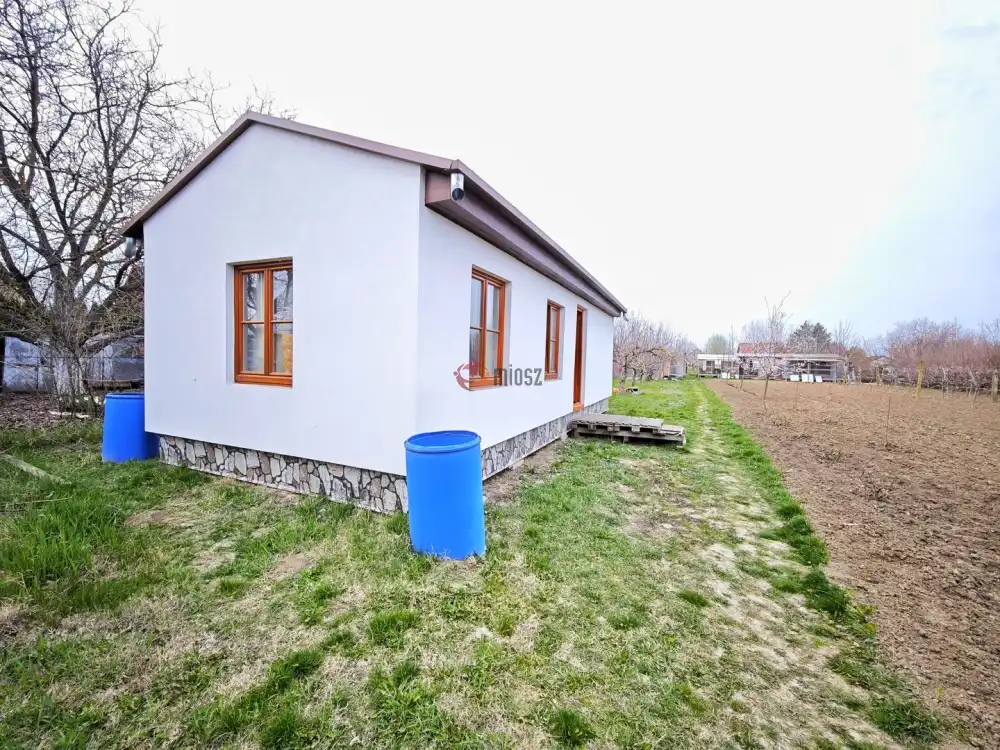 Csongrád megye - Szeged