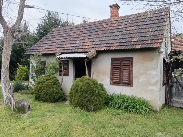 Eladó Szőlős, Belezna 1496 m² 3.5 M Ft