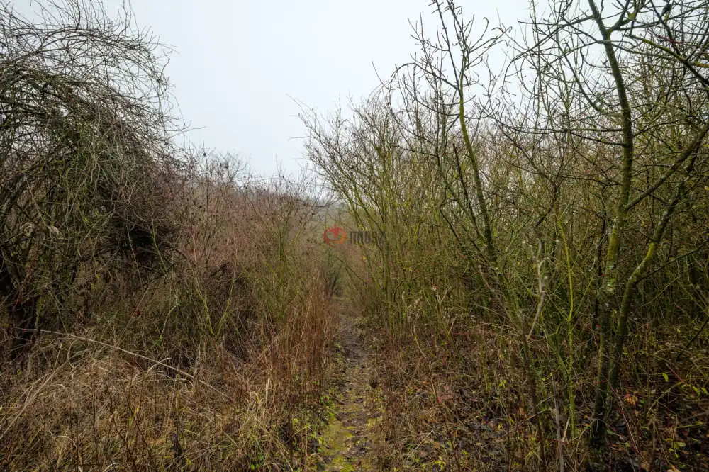 Komárom-Esztergom megye - Esztergom