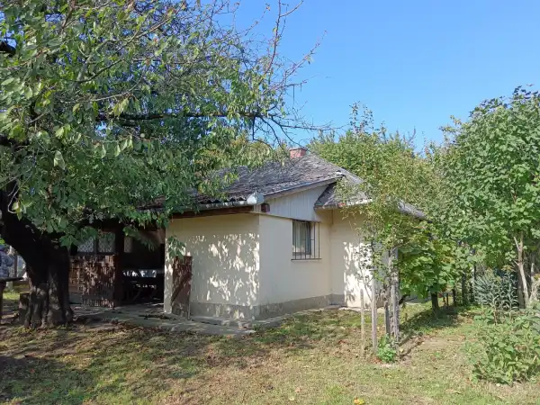 Eladó Szőlős, Hahót 2507 m² 3.5 M Ft