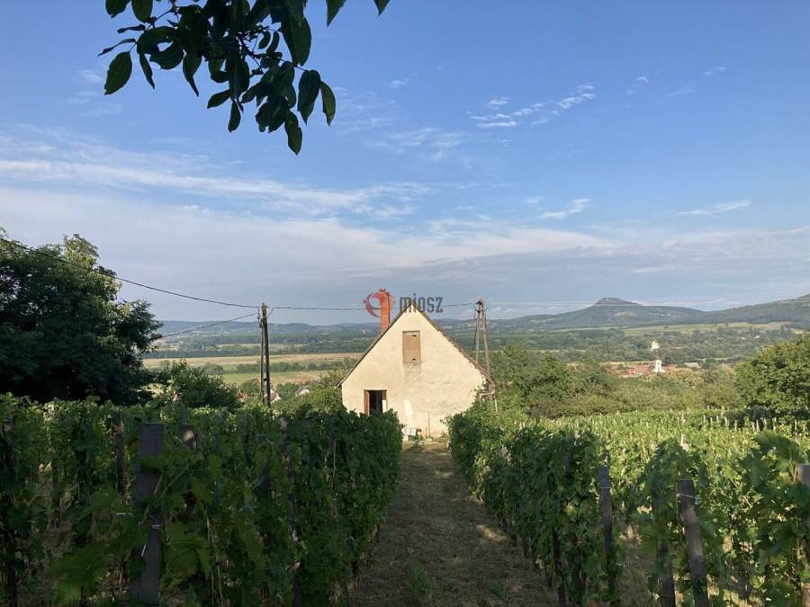 eladó  Szőlős, Kisapáti