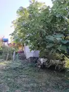 Zala megye - Kistolmács