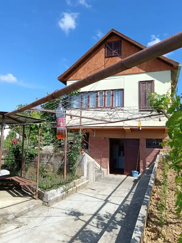 Eladó Szőlős, Letenye 3000 m² 10 M Ft