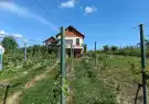 Zala megye - Letenye