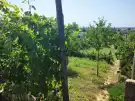 Baranya megye - nincs megadva