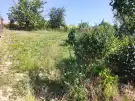 Baranya megye - nincs megadva