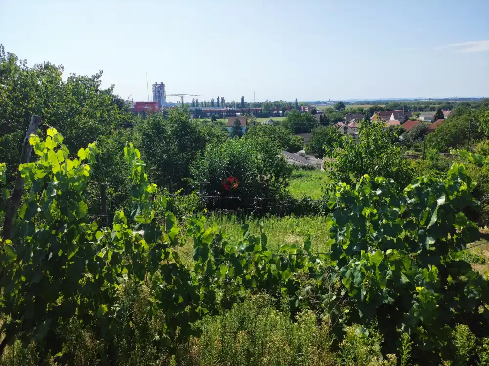 Baranya megye - nincs megadva