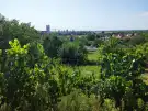 Baranya megye - nincs megadva
