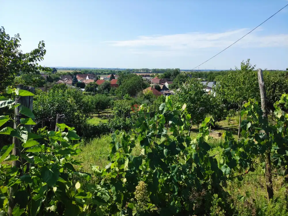 Baranya megye - nincs megadva