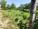 Baranya megye - nincs megadva