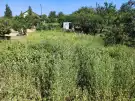 Baranya megye - nincs megadva