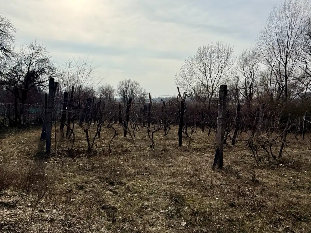 Komárom-Esztergom megye - Oroszlány