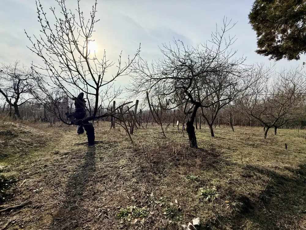 Komárom-Esztergom megye - Oroszlány