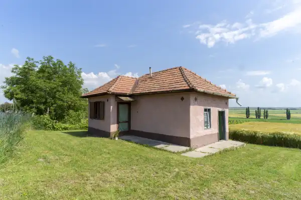 Eladó Szőlős, Pázmánd 1757 m² 13.85 M Ft