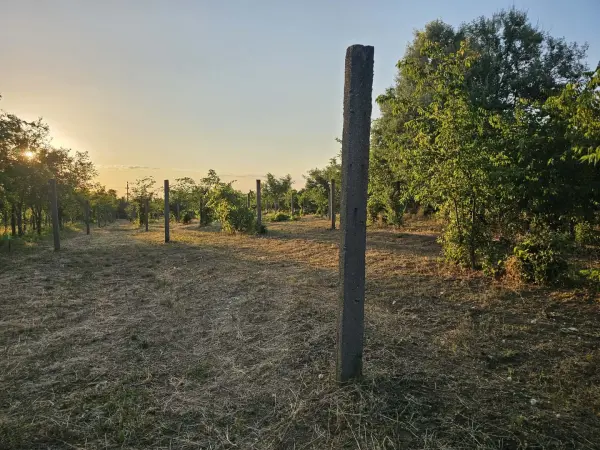 Eladó Szőlős, Vác 5167 m² 16.7 M Ft