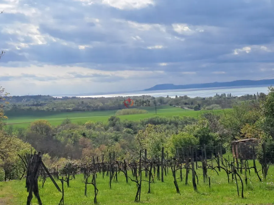 eladó  Szőlős, Zamárdi