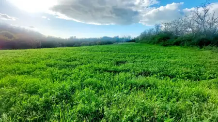 eladó telek, Balatonendréd