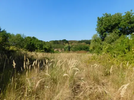 eladó telek, Bodony