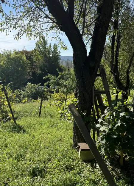 eladó telek, Budaörs