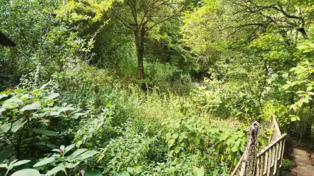 eladó telek, Budapest, II. kerület