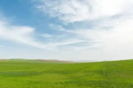 eladó telek, Dabas