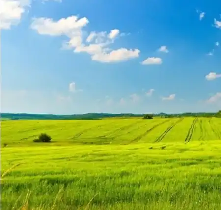 eladó telek, Dabas