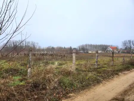 eladó telek, Dabasiszőlők