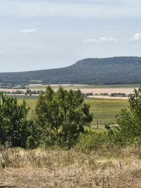eladó telek, Héreg
