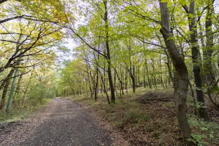 eladó telek, Kismaros