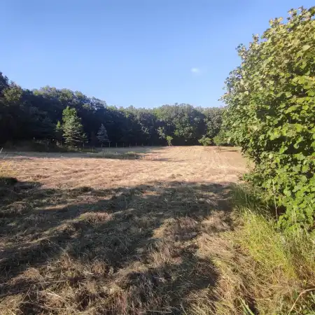 eladó telek, Kóspallag