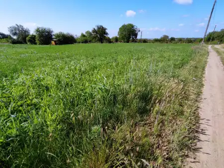 eladó telek, Mohács