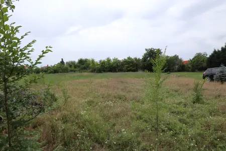 eladó telek, Sándorfalva