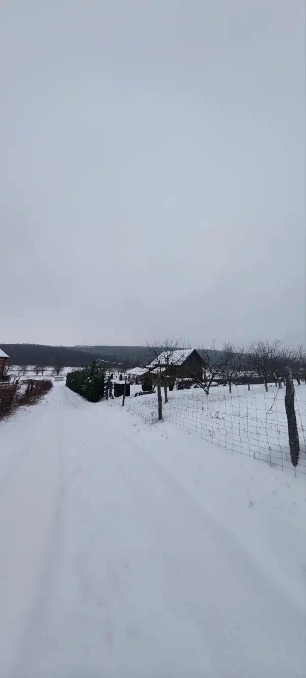 Eladó Üdülő, Alsópetény 1027 m² 58.9 M Ft