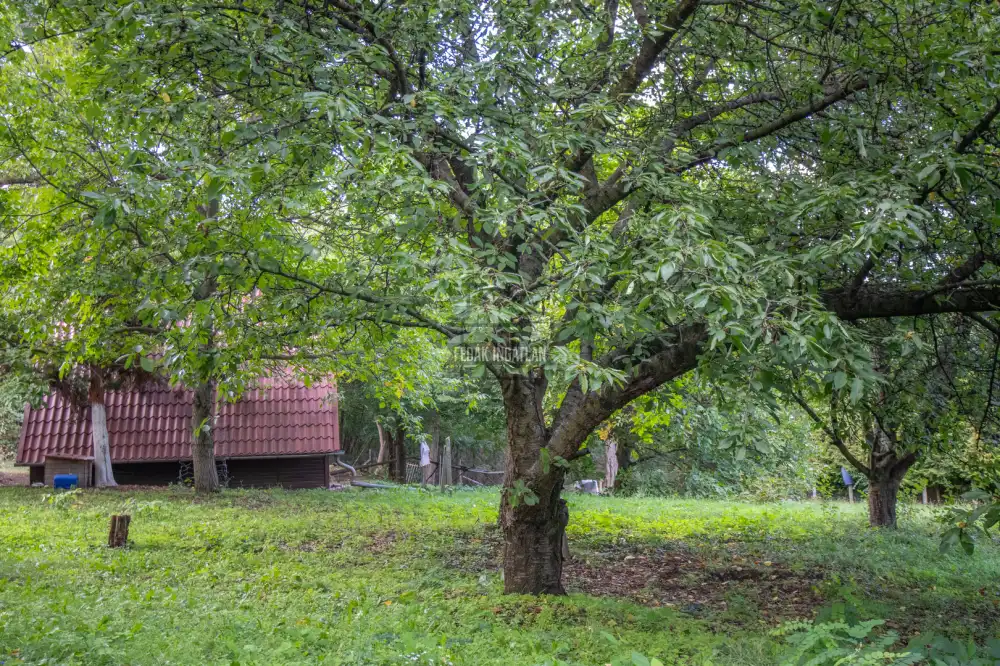 Pest megye - Csömör