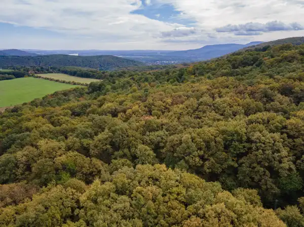 Eladó Üdülő, Kismaros 1120 m² 3.9 M Ft