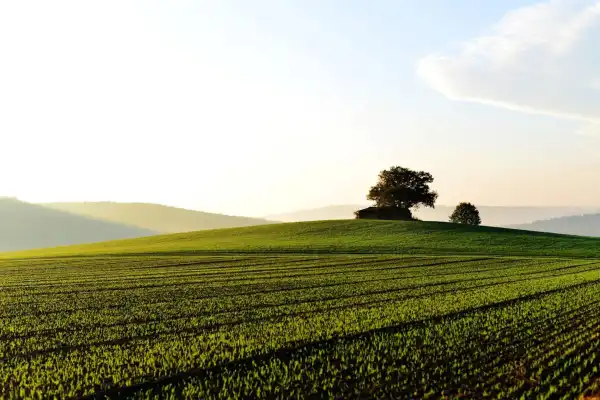 Eladó Üdülő, Sződ 4924 m² 5.9 M Ft