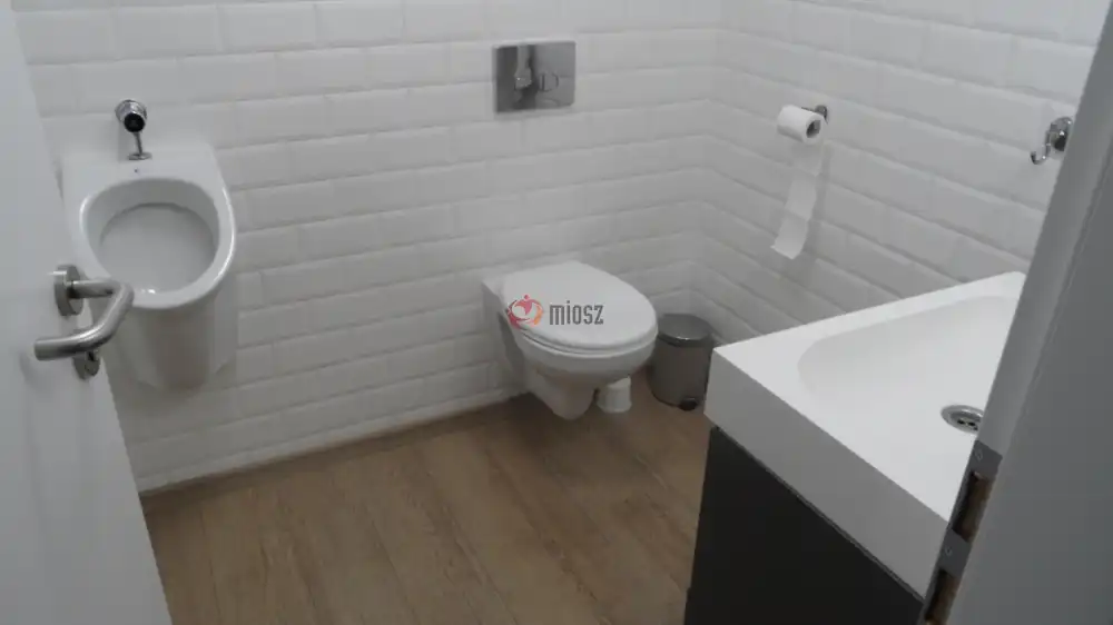 Csongrád megye - Domaszék