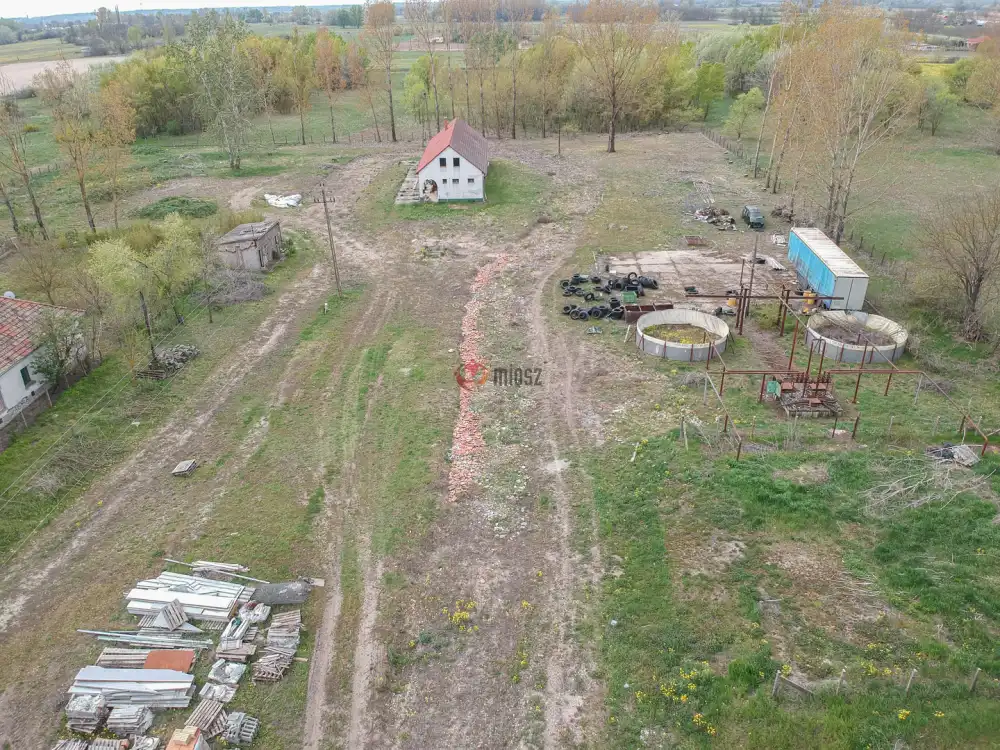 Bács-Kiskun megye - Tiszakécske