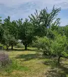 Zala megye - Zalaegerszeg