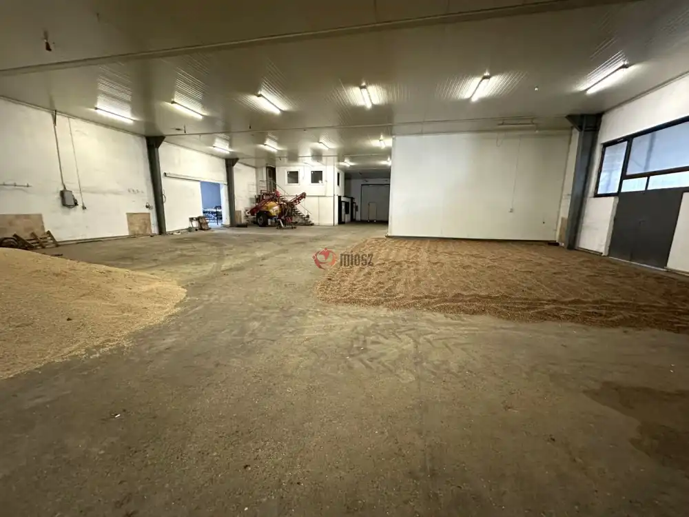 Csongrád megye - Szeged