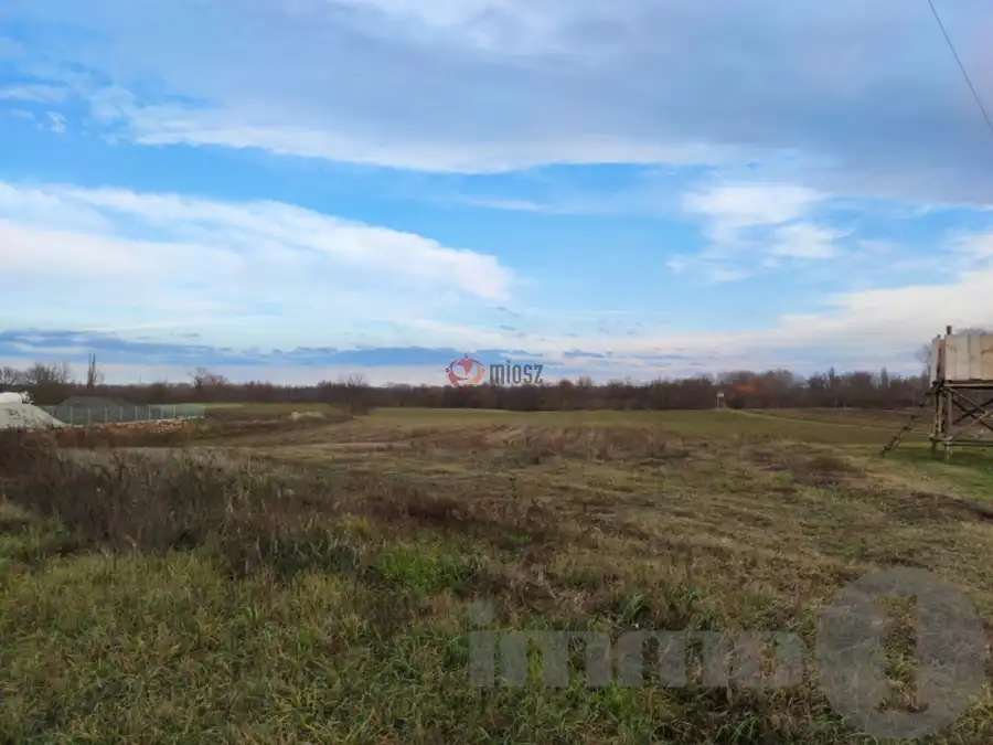 kiadó  Ipari telek, Dunaszentgyörgy