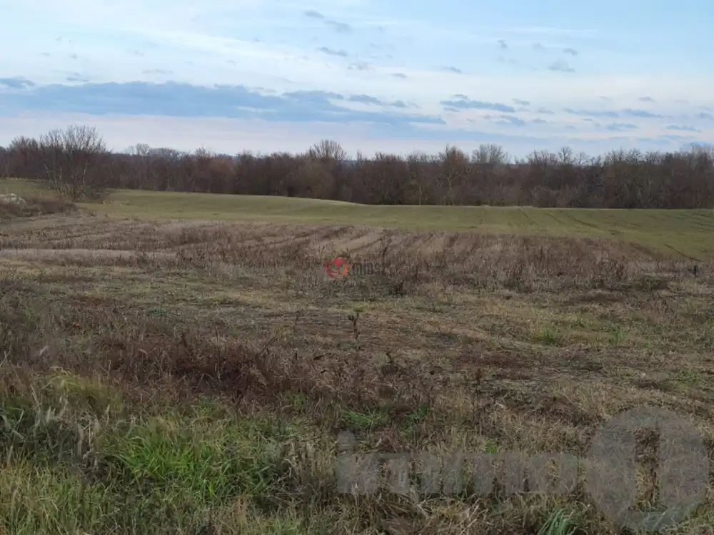 Tolna megye - Dunaszentgyörgy